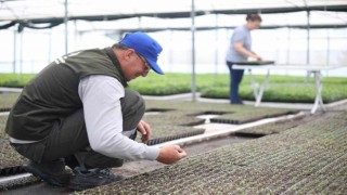 Başkan Çerçioğlu, Ata Tohumları Projesinin kapasitesini yıllık 10 milyon fideye çıkardı