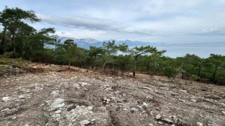 Başkan Topaloğlu: Doğamızın katledilmesine seyirci kalmayacağız