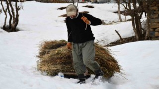 Besiciler 5 aydır kar tesviye edip kızaklarla saman taşıyor