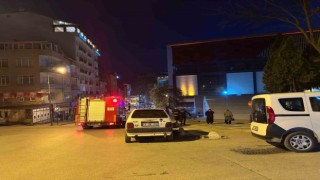 Bilecikte çocuklar palmiye ağacını yaktı