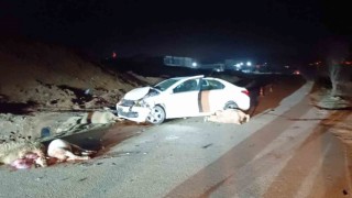 Bilecikte otomobil koyun sürüsüne çarptı, 1 kişi yaralandı