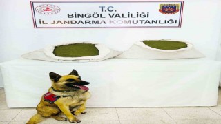 Bingöl'de 45 kilo esrar ele geçirildi