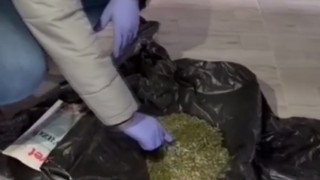 Bingölde uyuşturucu operasyonu: 4 tutuklama