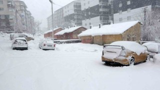 Bitliste 75 köy yolu ulaşıma kapandı, okullar 1 gün tatil edildi