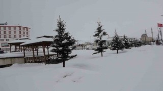 Bitliste kar yağışı: 4 köy yolu ulaşıma kapandı