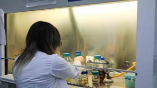 BTÜ öğrenci projelerinde ilk 6da