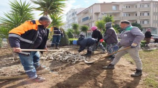 Burhaniyede Belediye ekipleri bahar mesaisine başladı