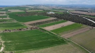 Çanakkale Savaşlarından kalma yeni bir şehitlik alanı tespit edildi