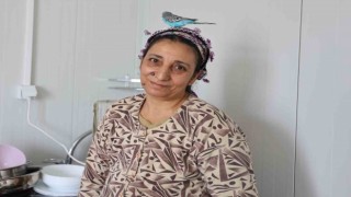 Canım, ciğerim dediği Maviş afetzede aileyi hayata tutundurdu