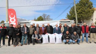 Çiftçilere kuraklığa dayanıklı, yerli Azkan nohut tohumu desteği