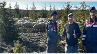 Çiftçinin kaybolan koyun sürüsünü jandarma ormanda buldu