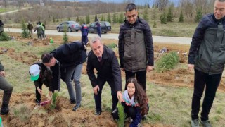 Çok sayıda fidan toprakla buluştu