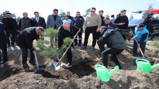 Denizlide 14 lokasyonda 6 bin 100 adet fidan toprakla buluştu