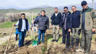 Depremde hayatını kaybedenlerin anısına bin fidan toprakla buluştu