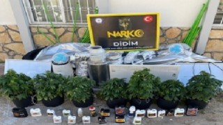Didimde uyuşturucu operasyonu