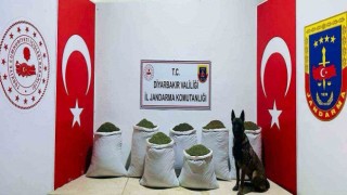 Diyarbakırda 129 kilo toz esrar ele geçirildi