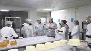 Diyarbakırda ilk iki ayda 2 bin 2 işletmeye gıda denetimi yapıldı