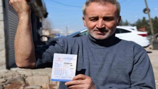Diyarbakırda sokak köpeği bir günde 8 kişiyi ısırdı