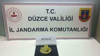 Düzcede jandarma suçlulara göz açtırmıyor