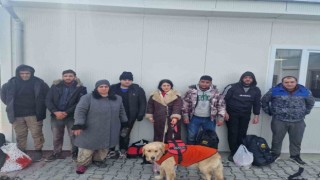 Edirnede 8 düzensiz göçmen yakalandı