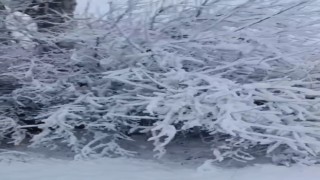Elazığ Baskilde kar yağışı etkili oldu