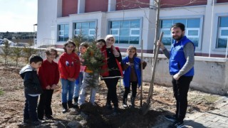 Elazığda öğrenciler fidanları toprak ile buluşturdu