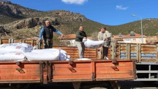 Elmalılı çiftçilere 366 çuval süt yemi desteği