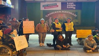 Eros isimli kediyle ilgili davadan çıkan karara tepki