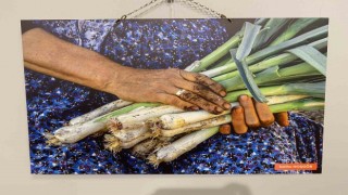 Esenlerde “Kadın Varsa Hayat Var” sergisi açıldı