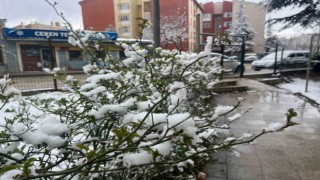 Eskişehir kent merkezinde kar yağışı etkili oldu