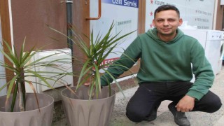 Esnafın çağrısını duyan hırsız, çaldığı süs bitkisini geri getirdi