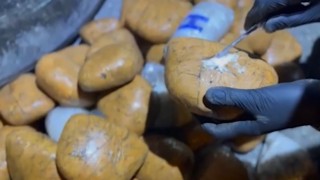 Gaziantepte bir ayda yarım ton uyuşturucu ele geçirildi