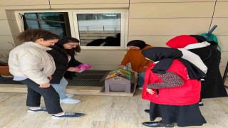 Gençlerden kedilere sıcak yuva
