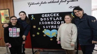 Gerçek dostlar kromozom saymaz