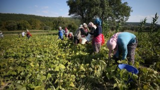 GMKA destek verdi, kadın üretimi ve istihdam güçlendi