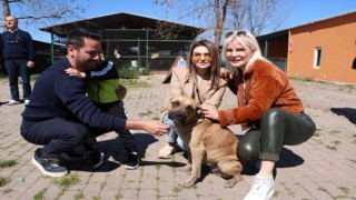 Gökhan Dinçer: Can dostlarımız da sahipsiz kalmayacak