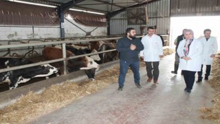 Hibe desteğiyle başladı başarılı bir şekilde devam ediyor