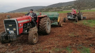 Hüyükte atıl tarım alanları aspir ekilerek üretime kazandırılıyor