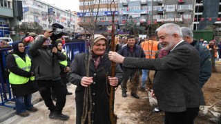 Isparta Belediyes, 32 bin adet ücretsiz meyve fidanı dağıtacak