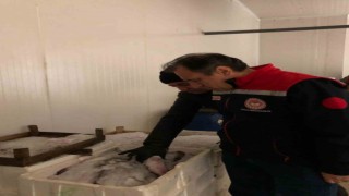 İstanbulda yasa dışı ticari avcılık denetimi: 4 ton balığa el konuldu