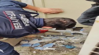 İtfaiye ekipleri sıkışan yavru kediyi böyle kurtardı