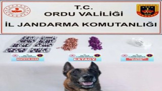 Jandarmanın uyuşturucu operasyonunda 1 tutuklama