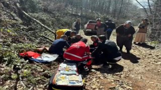 Kaldirik otu toplamaya gittiği yaylada bacağını kırarak mahsur kaldı