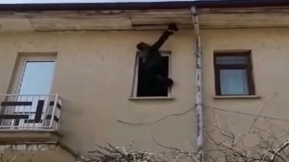 Kanadı çatı arasına sıkışan kargayı itfaiye kurtardı