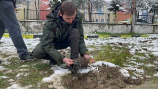 Kar yağışı altında fidan diktiler