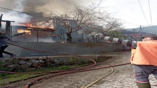 Kargıda yangın: 6 ev yandı