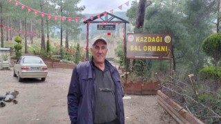 Kazdağlarında Bal Ormanı Projesi arıcıları sevindirdi