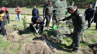 Kazdağlarında fidanlar toprak ile buluştu