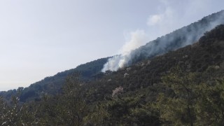 Kazdağlarında orman yangını