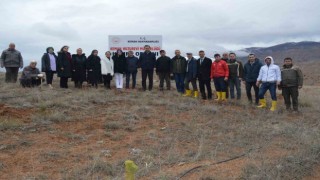 Kemahta fidan dikim etkinliği düzenlendi